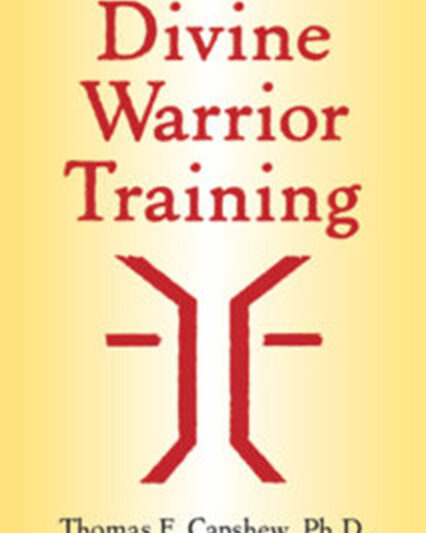 Divine Warrior Training: Manifesting the Divine in Our World