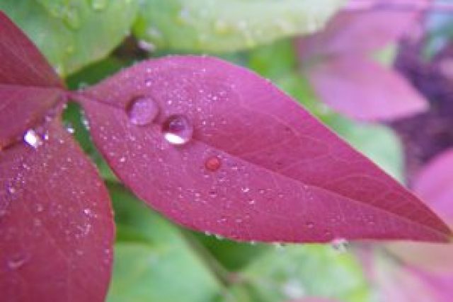 Challenges and Breakthroughs of a Spiritual Practice, Part 10 of 12