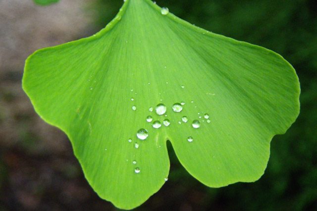 Challenges and Breakthroughs of a Spiritual Practice, Part 2 of 12