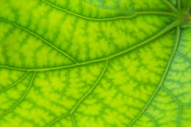 Challenges and Breakthroughs of a Spiritual Practice, Part 4 of 12