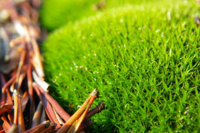 Challenges and Breakthroughs of a Spiritual Practice, Part 6 of 12