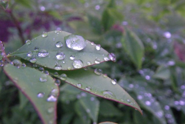 Challenges and Breakthroughs of a Spiritual Practice, Part 7 of 12