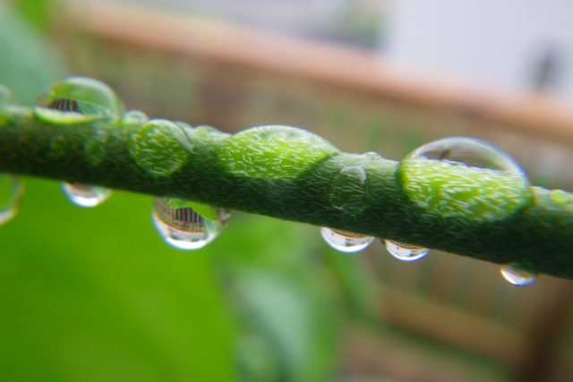 Challenges and Breakthroughs of a Spiritual Practice, Part 8 of 12