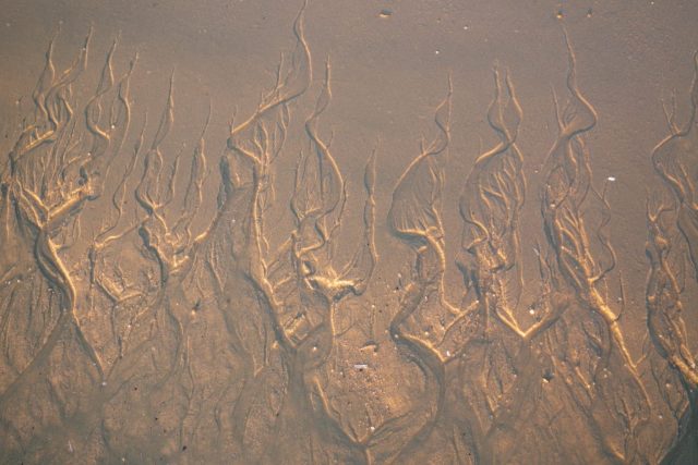 It Is Time to Fill Our Vessels